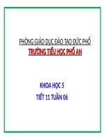 Bài 11. Dùng thuốc an toàn