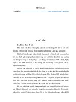 skkn nâng cao kĩ năng viết đoạn văn, bài văn nghị luận xã hội 