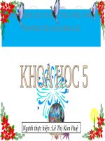 Bài 14. Phòng bệnh viêm não