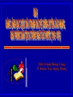 ĐẢNG LÃNH đạo CUỘC đấu TRANH bảo vệ CHÍNH QUYỀN CÁCH MẠNG, GIẢI PHÓNG dân tộc  THỐNG NHẤT đất nước (1945  1975) 