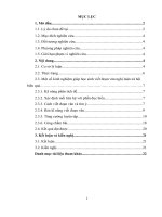 skkn một vài kinh nghiệm giúp học sinh 12 viết đoạn văn nghị luận  xã hội khoảng 200 chữ hiệu quả 