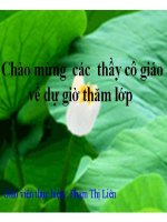 Bài 5. Sự cân bằng lực - Quán tính