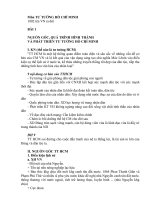 NGUỒN gốc, QUÁ TRÌNH HÌNH THÀNH và PHÁT TRIỂN tư TƯỞNG hồ CHÍ MINH 