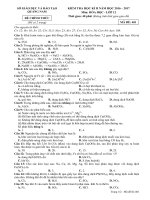 Đề thi HK 2 môn Hoá học lớp 12 năm 20162017  Đề 401 