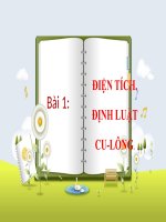 Bài 1. Điện tích. Định luật Cu-lông