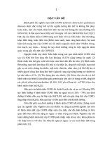 Hiệu quả chế độ dinh dưỡng giàu lipid trong điều trị bệnh nhân đợt cấp bệnh phổi tắc nghẽn mạn tính thở máy