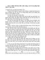 ĐỀ CƯƠNG THẢO LUẬN PHẦN 2  PHÁP LUẬT (đáp án) 