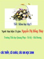 Bài 54. Cây con có thể mọc lên từ một số bộ phận của cây mẹ