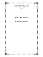 Độc học MT tiêu chuẩn quy chuẩn, Các tiêu chuẩn quy định về nồng độ của các độc chất trong môi trường