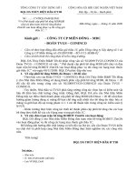 phe duyet cap phoi m300 va dua tram tron vao hoat dong 