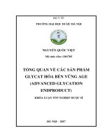 Tổng quan về các sản phẩm glycat hóa bền vừng AGE (advanced glycation endproduct) 
