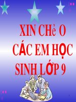 Bài 17. Dãy hoạt động hoá học của kim loại