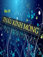 Bài 29. Thấu kính mỏng