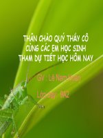 Bài 5. Luyện tập: Tính chất hoá học của oxit và axit