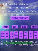 Bài 13. Luyện tập chương 1: Các loại hợp chất vô cơ