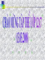 Bài 45. Bài tập về hiện tượng quang điện