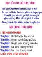 Bài 14. Thực hành: Tính chất hoá học của bazơ và muối