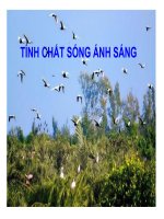 Bài 29. Thực hành: Đo bước sóng ánh sáng bằng phương pháp giao thoa