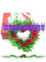 Bài 46. Hiện tượng quang điện trong. Quang điện trở và pin quang điện