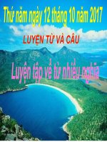 Tuần 7-8. Luyện tập về từ nhiều nghĩa