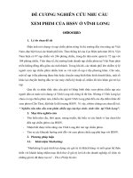 Nghiên cứu nhu cầu xem phim của học sinh sinh viên