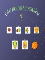 Bài 30. Giải bài toán về hệ thấu kính