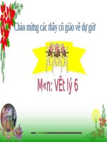 Bài 10. Lực kế - Phép đo lực - Trọng lượng và khối lượng