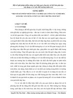 skkn  một số giải pháp nhằm nâng cao hiệu quả công tác xã hội hóa giáo dục xây dựng cơ sở vật chất trường mầm non 