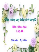 Bài 43. Âm thanh trong cuộc sống