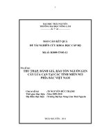 Thu thập, đánh giá, bảo tồn nguồn gen cây lúa cạn tại các tỉnh miền bắc việt nam 