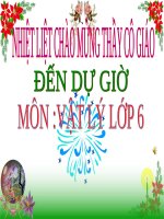 Bài 11. Khối lượng riêng - Trọng lượng riêng