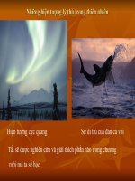 Bài 19. Từ trường