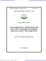 THẨM ĐỊNH QUY TRÌNH bào CHẾ VIÊN nén GLIPIZID GIẢI PHÓNG kéo dài ở QUY mô 10 000 VIÊN 