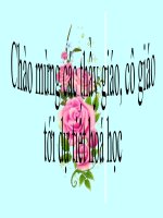 Bài 11. Phân bón hoá hoc