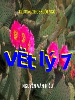 Bài 5. Ảnh của một vật tạo bởi gương phẳng