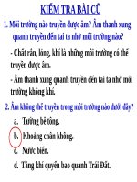 Bài 14. Phản xạ âm - Tiếng vang