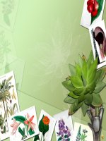 Bài 20. Sự nở vì nhiệt của chất khí