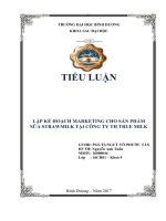 Lập kế hoạch marketing cho sản phẩm sữa strawmilk tại công ty TH True Milk