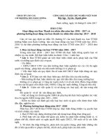 Báo cáo thanh tra nhân dân 2017