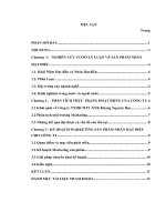 Xây dựng kế hoạch Marketing xuất khẩu sản phẩm nhân hạt điều ra thị trường mỹ cho Công ty TNHH MTVXNK Khang Nguyên Đạt