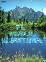 Bài 6. Thực hành: Quan sát và vẽ ảnh của một vật tạo bởi gương phẳng