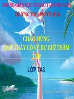 Bài 4. Định luật phản xạ ánh sáng