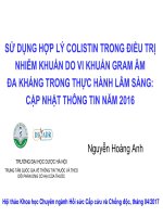 Sử dụng hợp lý colistin trong điều trị nhiễm khuẩn do vi khuẩn gram âm đa kháng trong thực hành lâm sàng cập nhật thông tin năm 2016 