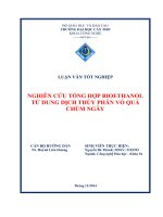NGHIÊN cứu TỔNG hợp BIOETHANOL từ DUNG DỊCH THỦY PHÂN vỏ QUẢ CHÙM NGÂY 