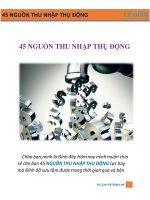 45 NGUỒN THU NHẬP THỤ ĐỘNG TRÊN INTERNET