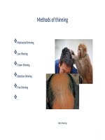 QUẢN LÝ THẢM THỰC VẬT RỪNG: THINNING METHODS CÁC PHƯƠNG PHÁP TỈA TƯA