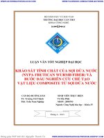 KHẢO sát TÍNH CHẤT của sợi dừa nƣớc (NYPA FRUTICAN WURMB FIBER) và bƣớc đầu NGHIÊN cứu CHẾ tạo vật LIỆU COMPOSITE từ sợi dừa nƣớc 
