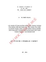 Các nhân tố ảnh hưởng đến lòng trung thành của nhân viên bộ phận vay tiêu dùng tín chấp cá nhân thuộc công ty tài chính TNHH MTV ngân hàng việt nam thịnh vượng – chi nhánh huế 