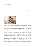 Con tim có lý lẽ riêng  cuộc đời phục vụ, yêu thương