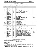 Thiết kế bài dạy lớp 3 tuần 4 